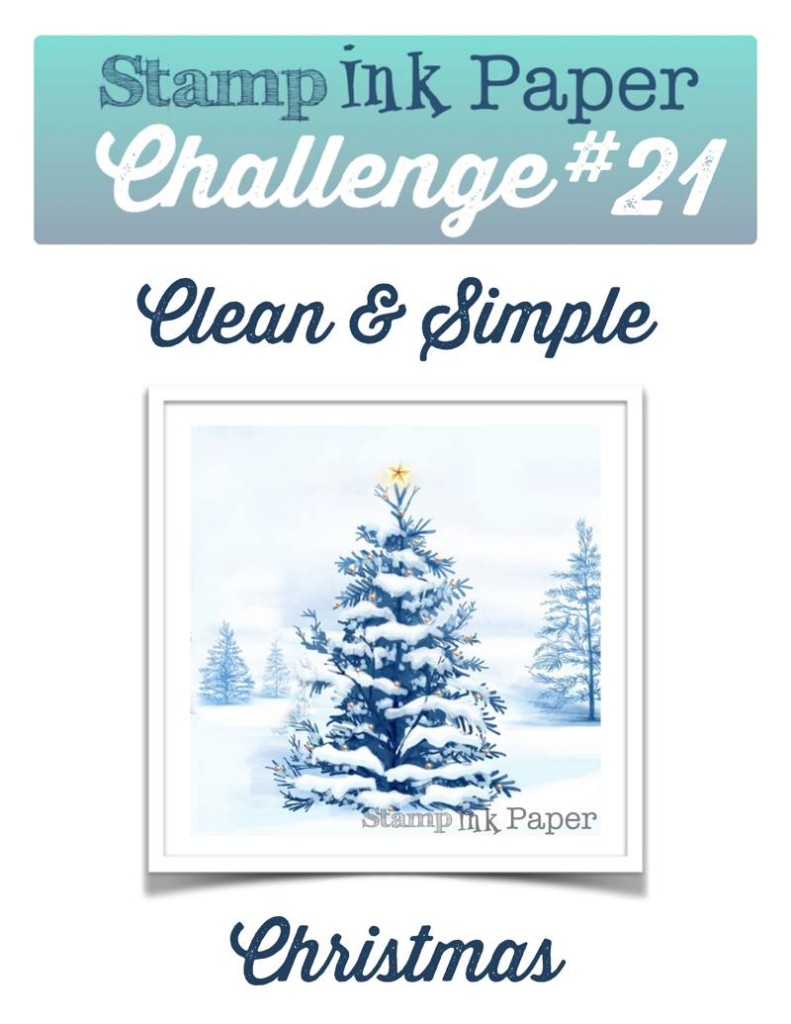 SIP-Challenge-20-CAS-Christmas