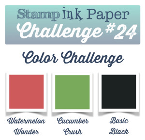 SIP-Color-Challenge-24-800