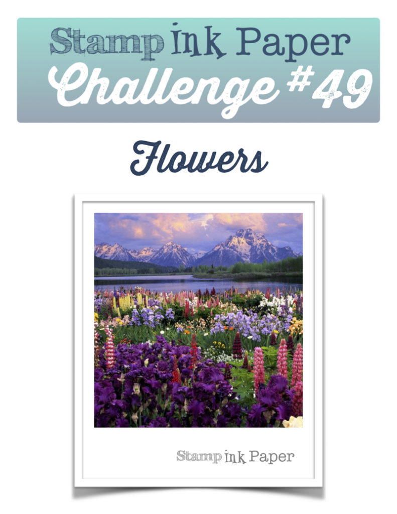 SIP-Challenge-49-Flowers-800-791x1024