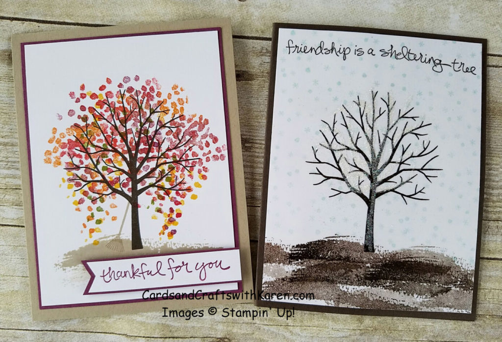 simple-saturday-sheltering-tree-fall-winter